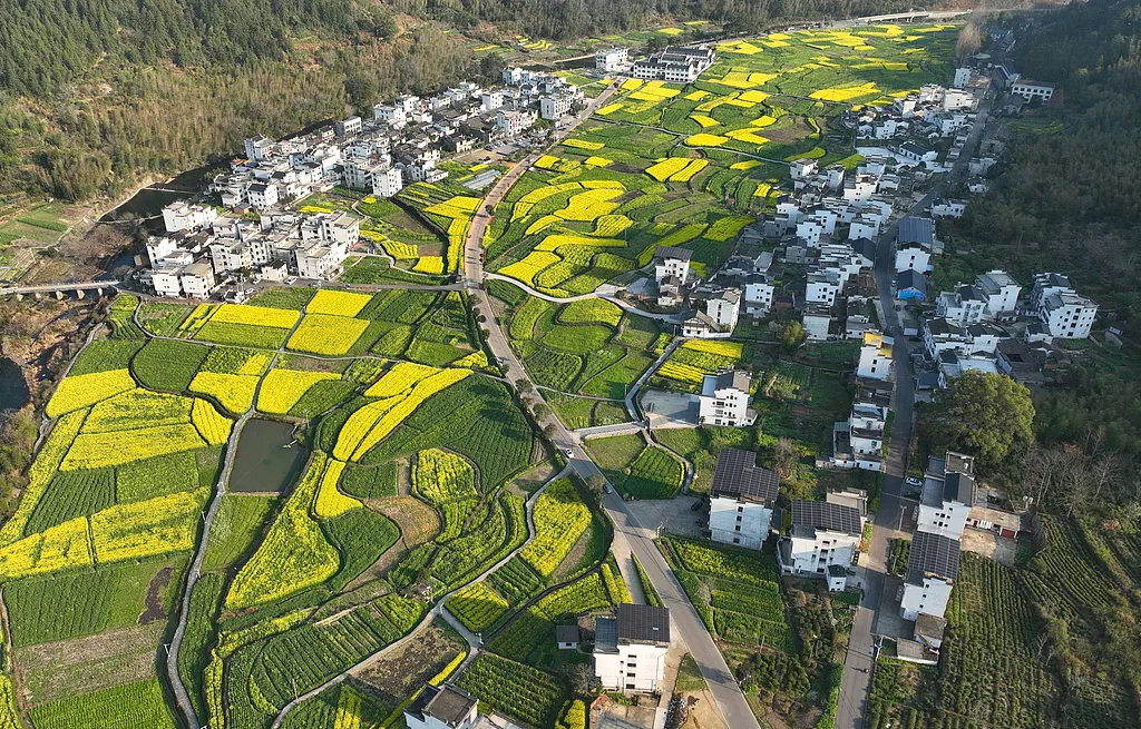 中共中央辦公廳 國(guó)務(wù)院辦公廳關(guān)于做好第二輪土地承包到期后再延長(zhǎng)30年試點(diǎn)工作的意見(jiàn)