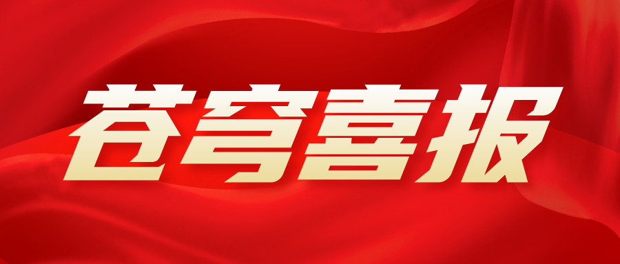 喜報(bào)！蒼穹數(shù)碼攜手中國水利水電科學(xué)研究院等單位榮獲“2025地理信息科技進(jìn)步獎(jiǎng)”一等獎(jiǎng)