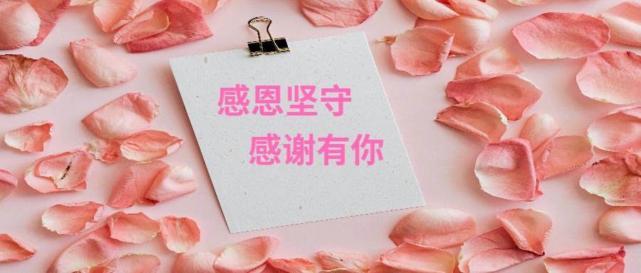 紅紅火火，蒸蒸日上 | 蒼穹數(shù)碼獲贛州市南康區(qū)不動產(chǎn)登記中心感謝信！