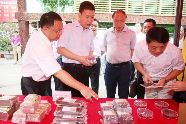 蒼穹數碼海南分公司參加海南省石山互聯網農業小鎮周年活動