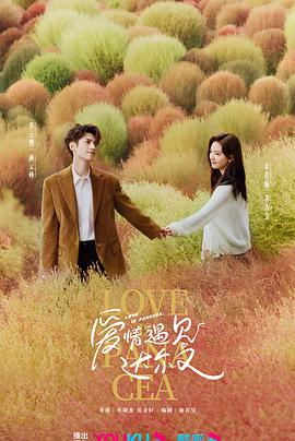 锦绣芳华